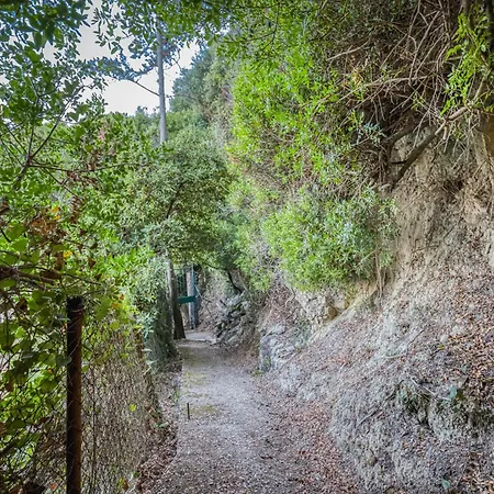 Διαμέρισμα Hidden *